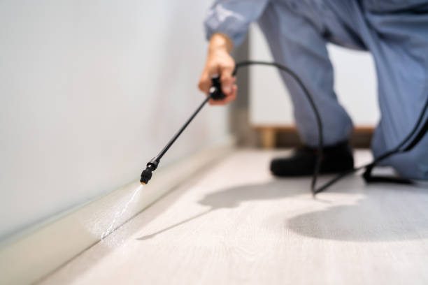 Licensed Pest Control service in Mystic, CT - Show Me Pest Control