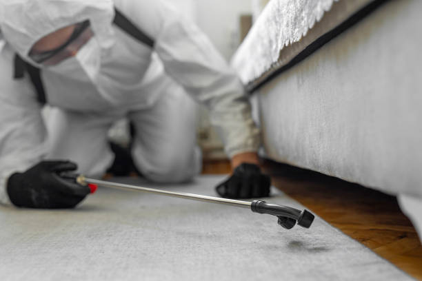 Professional Ant Control technician working in Mystic, CT