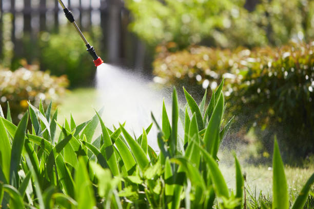 24/7 Emergency Ant Control experts in Mystic, CT