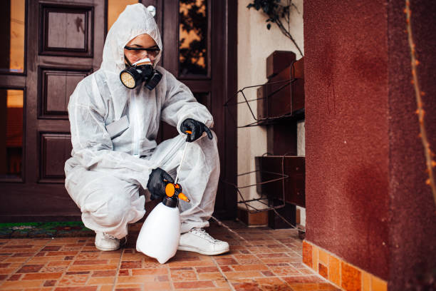 Reliable Ant Control contractor in Mystic, CT by Show Me Pest Control
